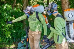 Lifestyle photography of 2 mosquito squad workers inspecting the greenery around the house for Mosquito Squad